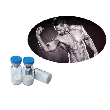 Bodybuilding Peptide Powder 5mg Selank